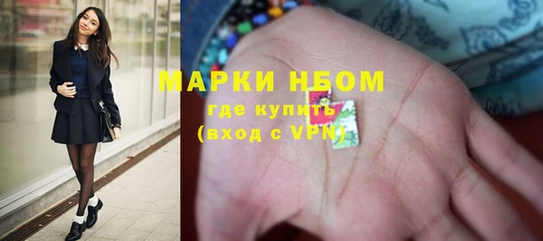 ПСИЛОЦИБИНОВЫЕ ГРИБЫ Алзамай