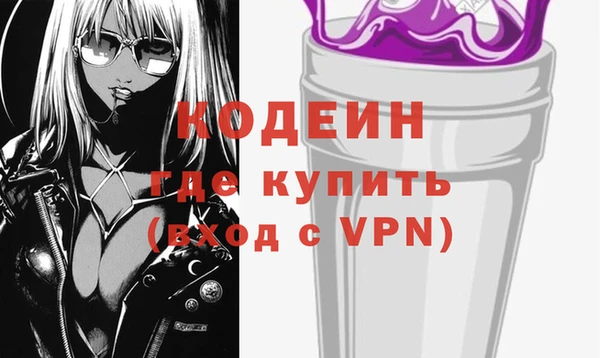 индика Снежногорск