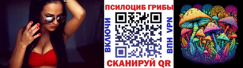 Псилоцибиновые грибы мухоморы  где можно купить   Боровичи 